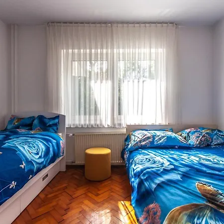 Slavka's House Under Velika Planina * Stahovica